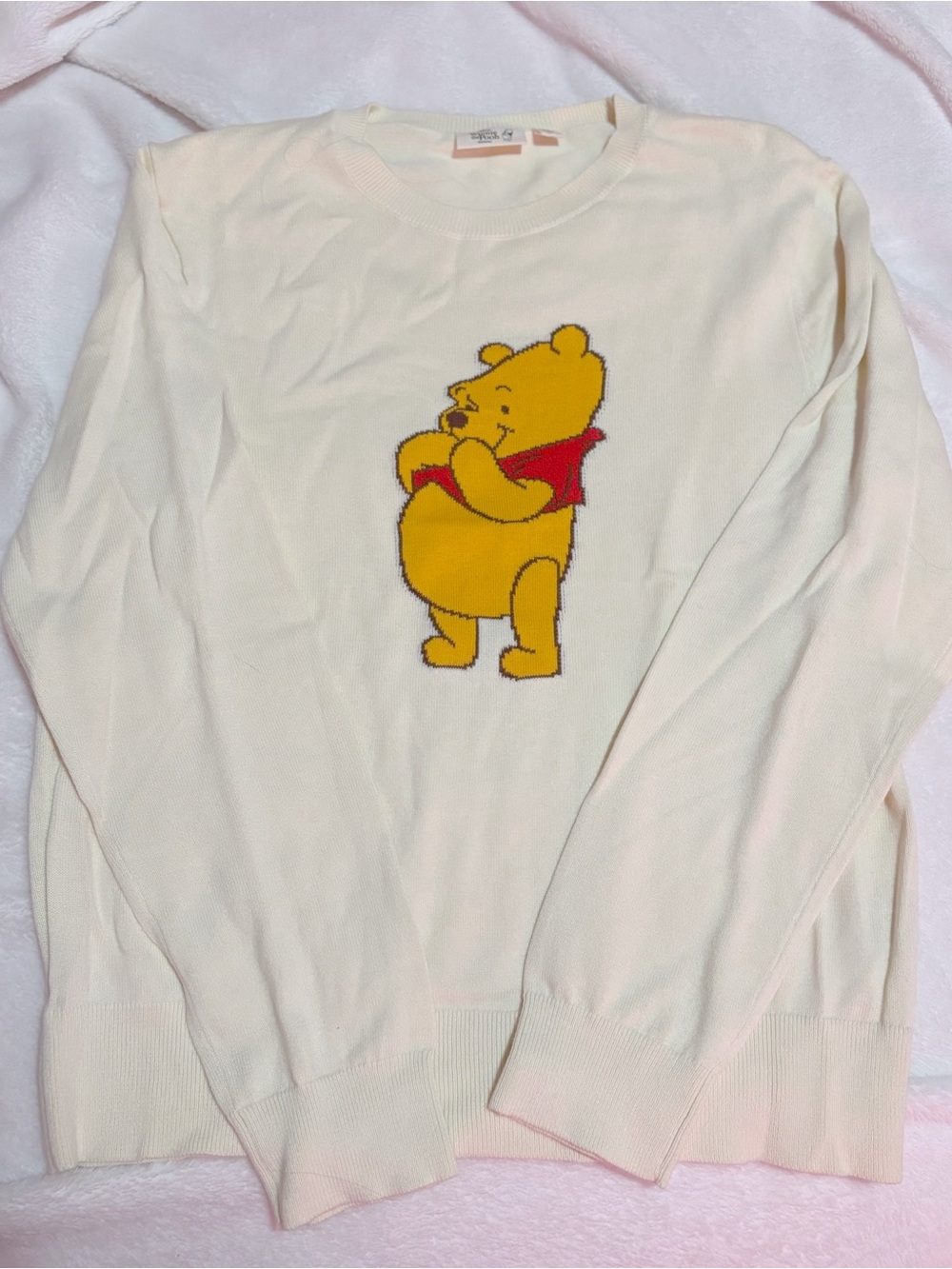 Winnie the Pooh Knit Sweater